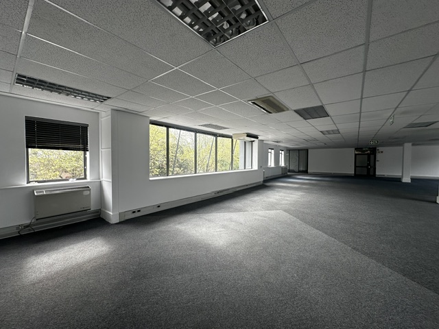To Let Commercial Property for Rent in Newlands Western Cape